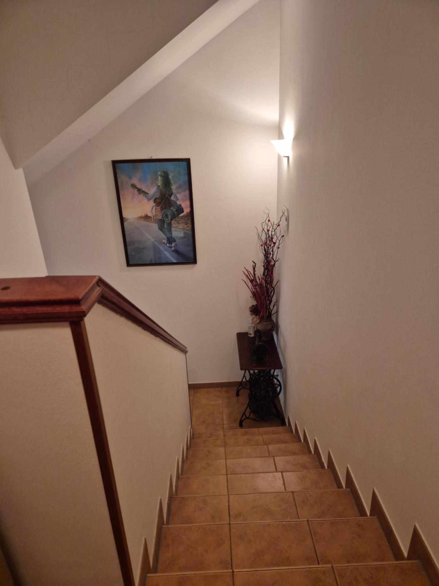 Antolovic Appartement