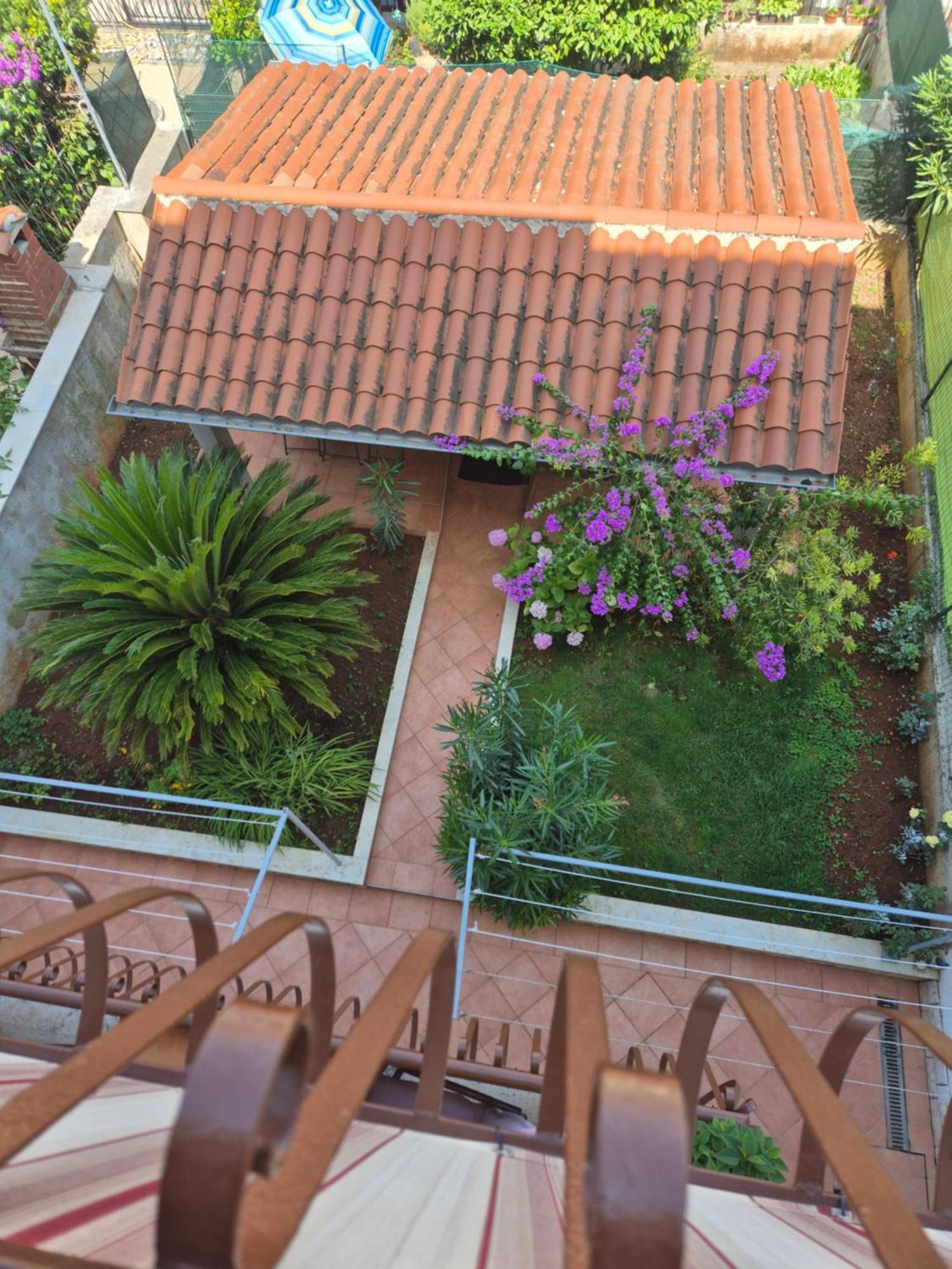 Antolovic Appartement *